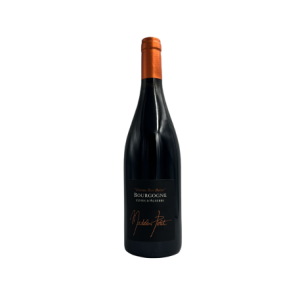 Bourgogne Dessus Bon Boire Rouge 2022 – Domaine Madelin Petit